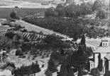 Photo of Muir-Strentzel Ranch circa 1906