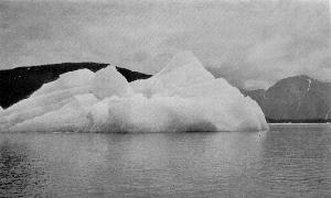 Floating Iceberg, Taku Inlet