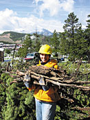In June, 57 volunteers, including Sierra Club members, cleared brush and slash around nine homes in Silverthorne, Colorado.