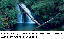 Chattahoochee National Forest