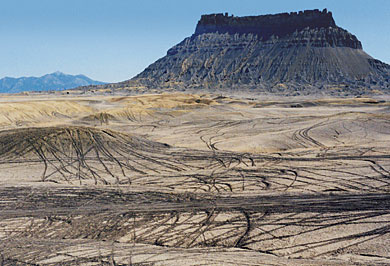 Off-road-vehicle damage to a proposed wilderness area near Utah's Factory Butte.