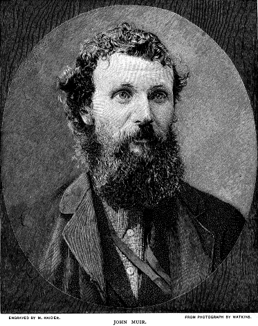 John Muir. From photograph by Watkins.