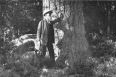 [photo of John Muir Among the Pines