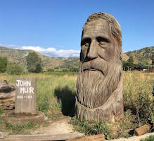 Photo of  Wooden Sculpture of John Muir at Project Green, Visalia, Photo by Harold Wood