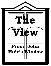 masthead for The View