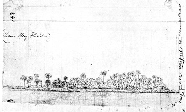 A sketch of Lime Key, FL from John Muir's journal