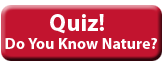 quiz! do you know nature? click here.