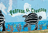 Mural: Protect the Corredor