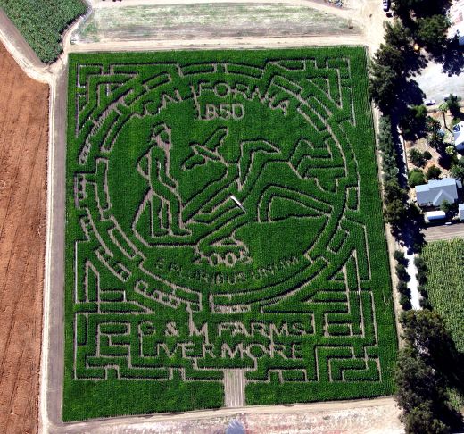 Corn Maze in 2005 at G and M Farms in Livermore California