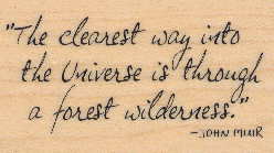 Rubber Stamp by PSX Designs: 'The Clearest Way into the U niverse is through a forest wilderness.' - John Muir