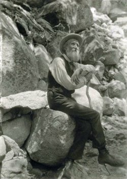 John Muir photograph taken by Francis M. Fritz 1907