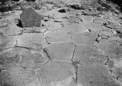 [Pavement of basaltic columns worn by glacial action, Yosemite]