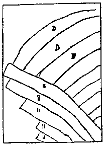 [Fig. 11]