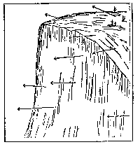 [Fig. 13]