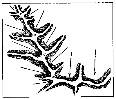[Fig. 5]