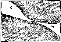 [Fig. 6]